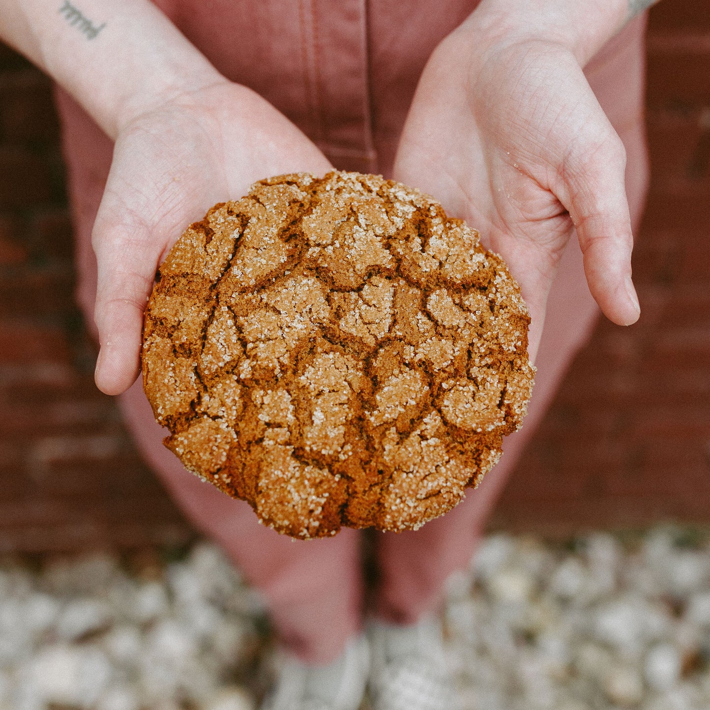 Ginger Molasses Cookie