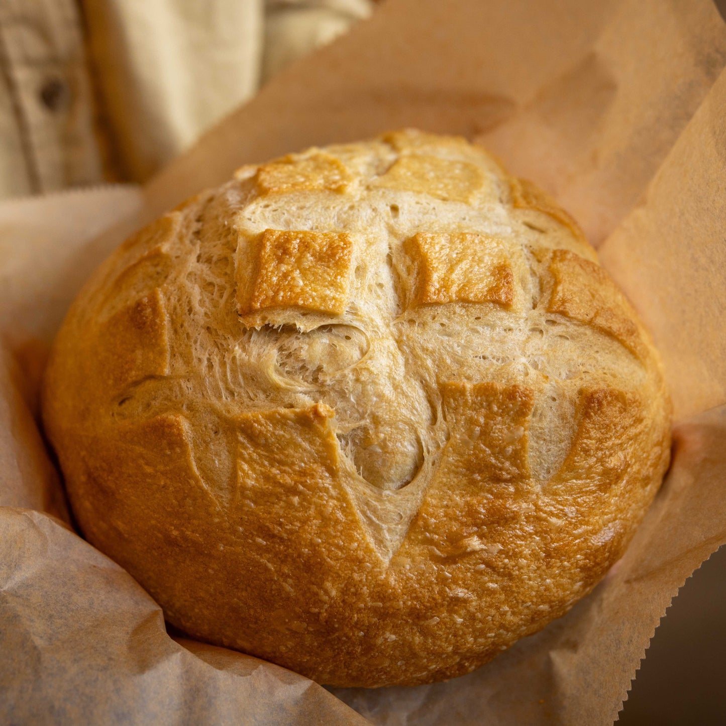 San Francisco Sourdough